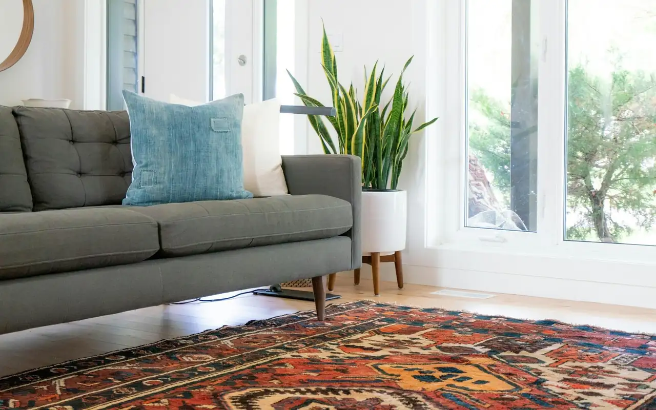 Bright living room with a large patterned area rug